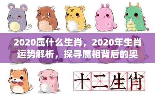 揭秘2020年属相奥秘与生肖运势解析
