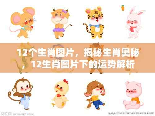 揭秘生肖奥秘,生肖图片与运势解析全解析