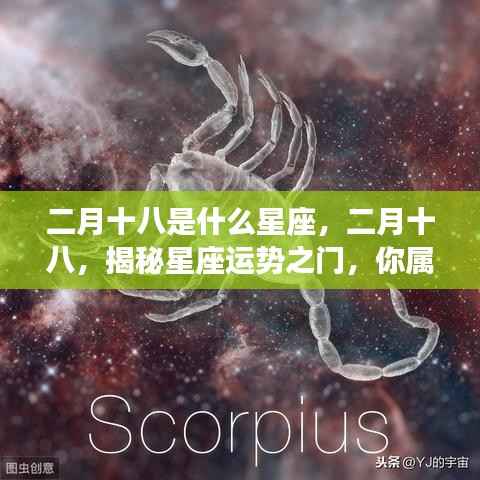 二月十八星座揭秘,运势之门开启,探寻你的星座归属
