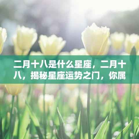 二月十八星座揭秘,运势之门开启,探寻你的星座归属