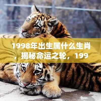 揭秘命运之轮,1998年出生者的生肖与星座运势全面解析