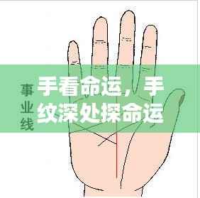 手纹探命运,手掌纹路揭示人生轨迹