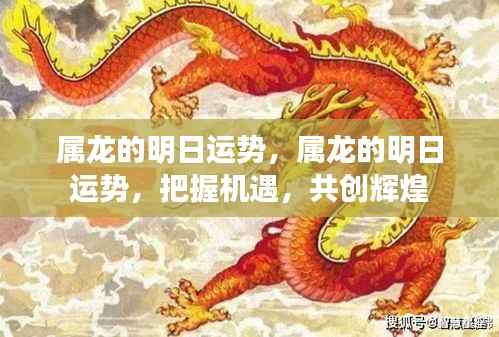 明日运势展望,属龙者的机遇与挑战,共创辉煌之路