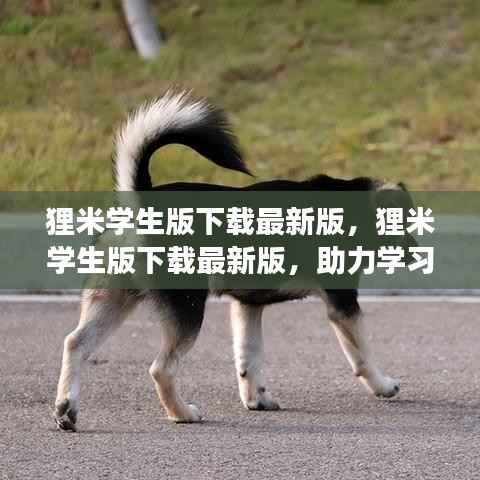狸米学生版下载最新版,助力学习成长,智慧之旅启程点