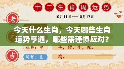 今日生肖运势解析,哪些生肖运势亨通,哪些需谨慎应对?