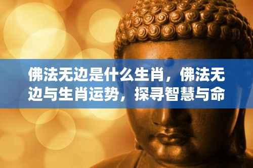 佛法无边与生肖运势,探寻智慧与命运的神秘交融