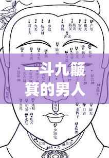 一斗九簸箕的男人命运揭秘,掌纹解读命运密码