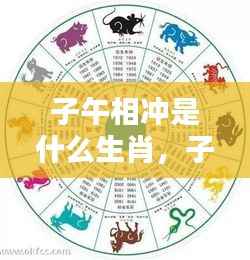 子午相冲生肖揭秘,运势影响与生肖解析