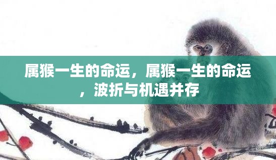 属猴人的命运波折与机遇并存,一生运势解析
