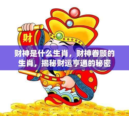 揭秘财神眷顾的生肖,财运亨通的秘密探索