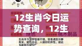 12生肖今日运势查询,12生肖今日运势查询——掌握好运,洞悉未来
