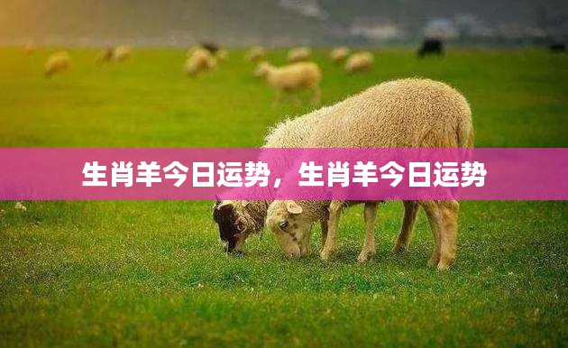 生肖羊今日运势详解与运势分析