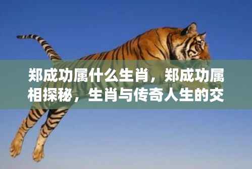 郑成功的生肖与传奇人生,属相探秘与传奇交织之路