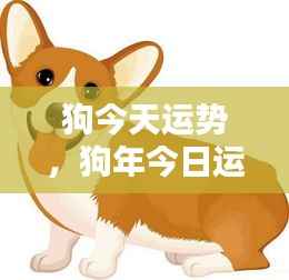 今日狗年运势概览,宠物犬的幸运时刻