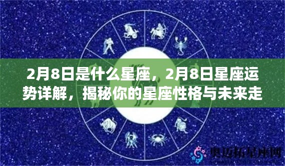 揭秘2月8日星座性格与运势走向,洞悉你的星座未来及性格特质