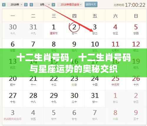 十二生肖号码与星座运势交织的奥秘探索