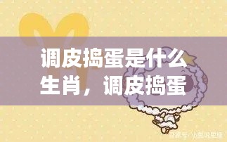 揭秘调皮捣蛋生肖属性与星座背后的秘密真相