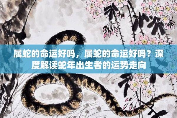 属蛇命运深度解读,运势走向与命运分析