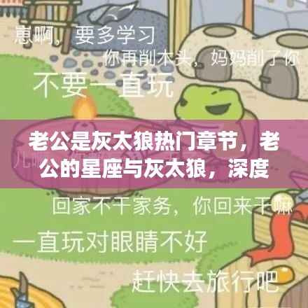 灰太狼老公,星座情感深度解读与运势关联探讨