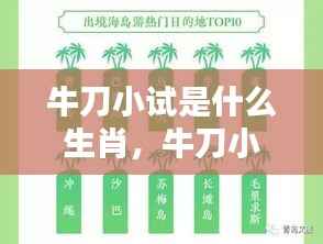 牛刀小试揭秘生肖运势走向,你属于哪个生肖?