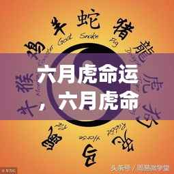 六月虎命运揭秘,生肖与星座交融,洞悉未来走向