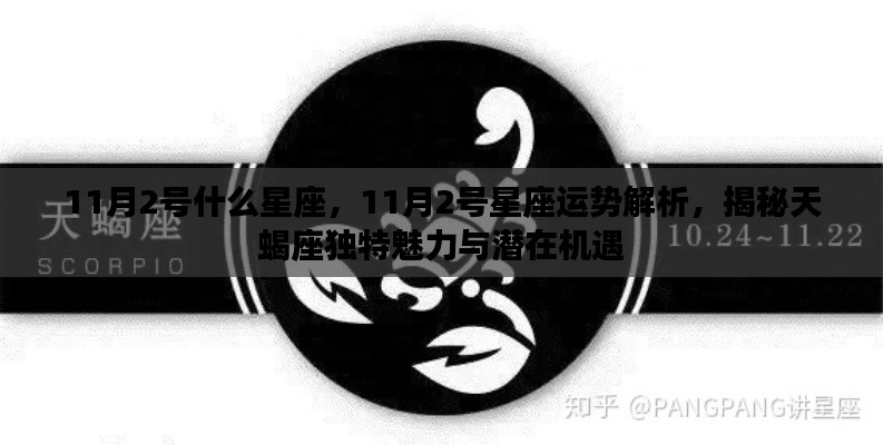 揭秘天蝎座,11月2日的星座运势与独特魅力及潜在机遇解析