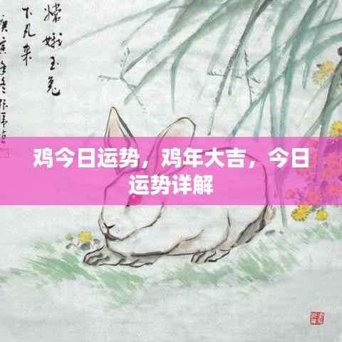 鸡年大吉运势揭秘,今日运势详解