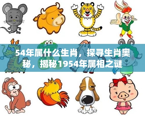 揭秘生肖奥秘,探寻1954年属相之谜,揭秘属相背后的故事与奥秘