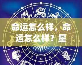 尽善尽美 第5页