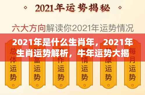 揭秘牛年运势,生肖运势解析与牛年运势大揭秘
