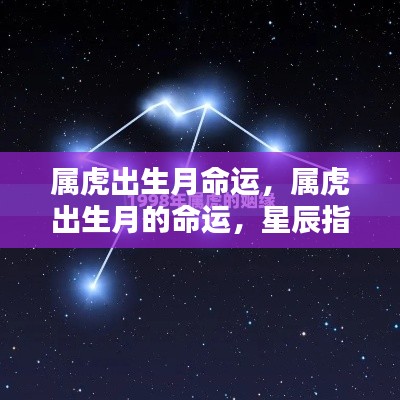 属虎出生月的命运，星辰指引下的独特人生轨迹探索
