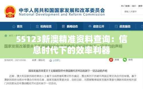 55123新澳精准资料查询:信息时代下的效率利器