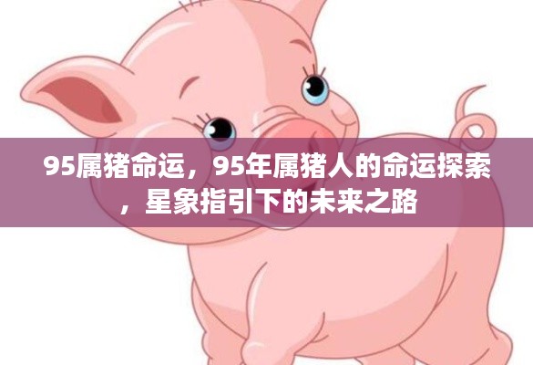 星象指引下的未来之路，揭秘95年属猪人的命运探索