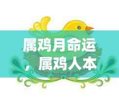 属鸡人的本月运势与命运走向揭秘,星辰月相下的命运轨迹