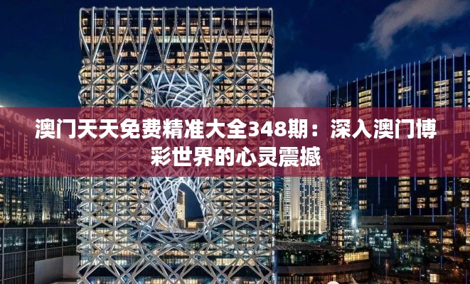 澳门天天免费精准大全348期:深入澳门博彩世界的心灵震撼