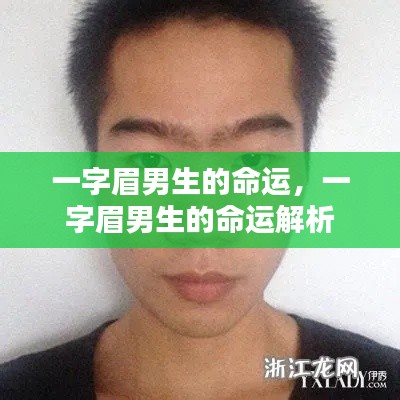 一字眉男生的命运详解与解析