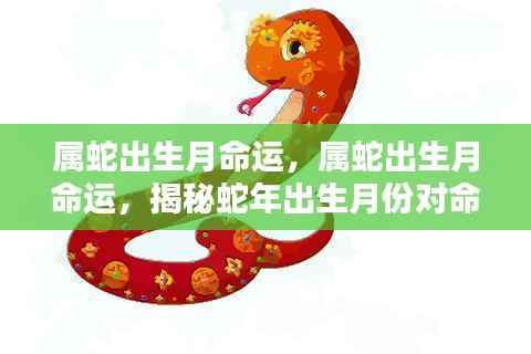 属蛇出生月份对命运的影响揭秘