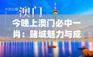 今晚上澳门必中一肖:赌城魅力与成败的辩证