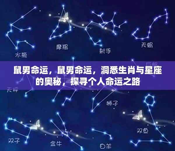 鼠男命运揭秘,探寻生肖与星座的奥秘,洞悉个人命运之路