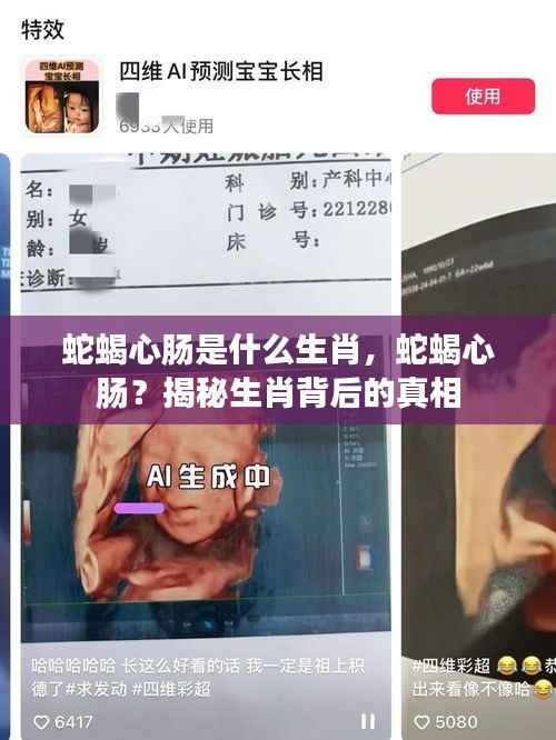 蛇蝎心肠生肖揭秘,探寻背后的真相