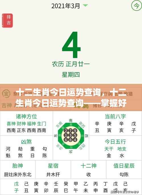 十二生肖今日运势查询,掌握好运势,开启幸运每一天!