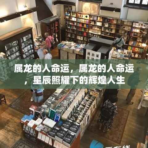 星辰照耀下的属龙人生,辉煌命运探索