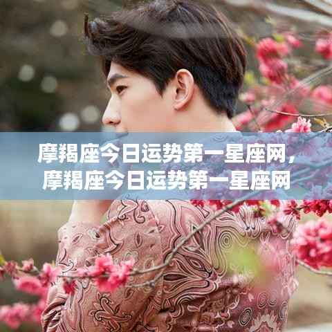 摩羯座今日运势详解,第一星座网独家解读