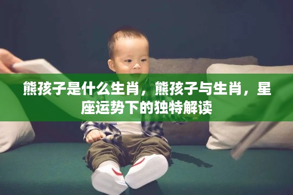 生肖与熊孩子,星座运势下的独特解读与解析