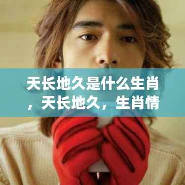 天长地久的生肖情缘,长久守护的生肖之谜