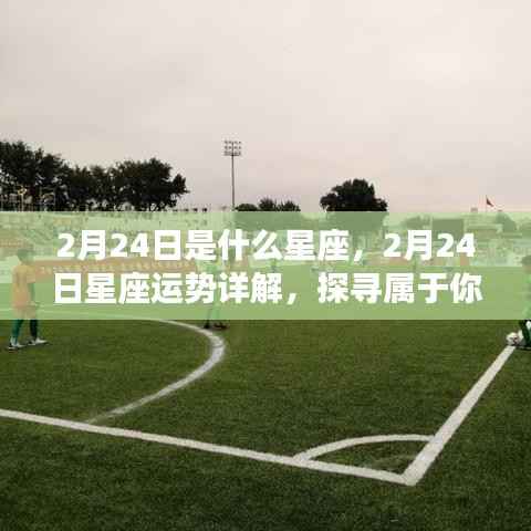 2月24日星座运势揭秘,探寻属于你的星辰轨迹,掌握今日运势特点!