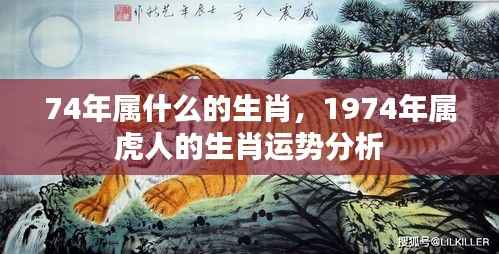 1974年属虎人的生肖运势详解