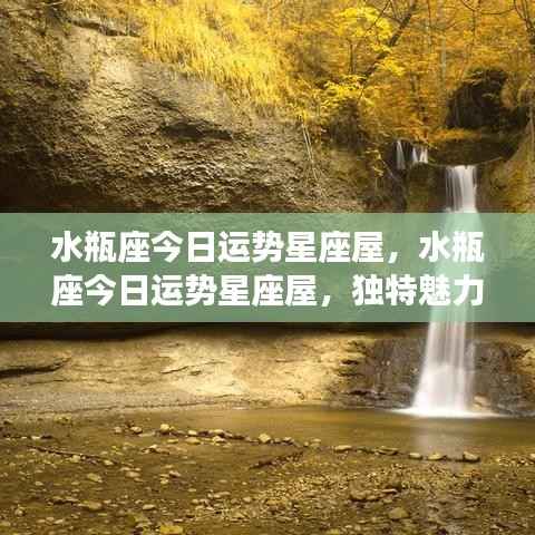 水瓶座今日运势星座屋,独特魅力闪耀,机遇与挑战并存的日子