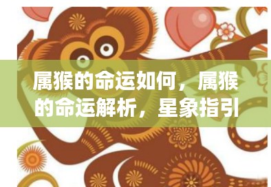 属猴人的命运航程,星象指引下的深度解析与探索