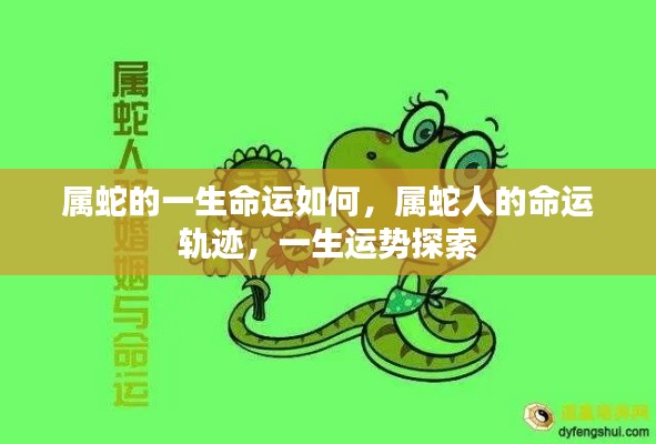 属蛇人的命运探索,一生运势轨迹与命运解析